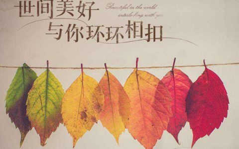 穿越人海只为与你相拥是什么歌，抖阴歌曲世间美好与你环环相扣介绍