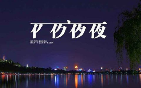 抖阴你也不必牵强再说爱我是什么歌，夜夜夜夜歌曲介绍