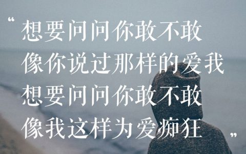抖阴想要问问你敢不敢是什么歌，为爱痴狂歌词介绍