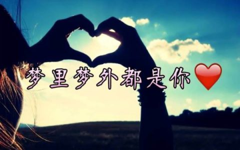 抖阴这最后一次的分离发了疯的想你是什么歌，梦里梦外都是你歌曲介绍