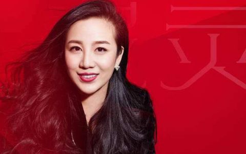 抖阴咚咚锵我的天灵灵是什么歌，灵灵歌曲介绍