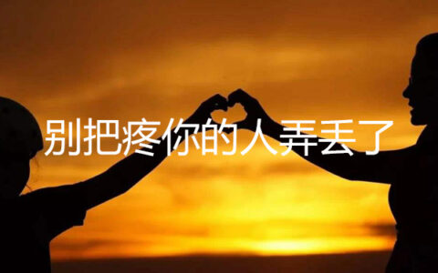 抖阴别把最疼爱你的人弄丢了是什么歌，别把疼你的人弄丢了歌曲介绍