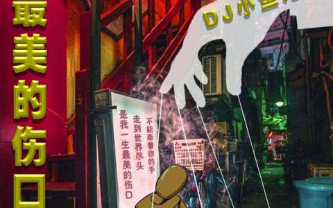 抖阴我曾经牵着你的手走进繁华街头什么歌，歌曲最美的伤口介绍