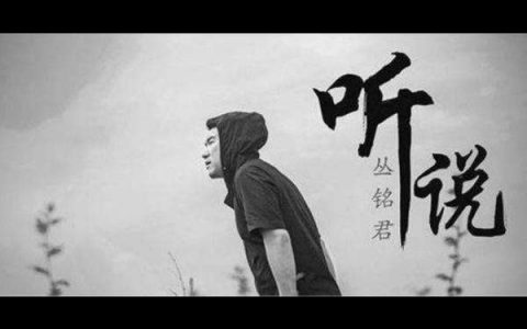 抖阴我浪费了最好的年华是什么歌，听说歌曲介绍