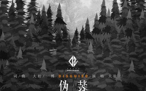 抖阴我伪装的很简单强悍坦然是什么歌，伪装歌词介绍