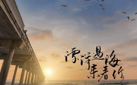 抖阴在漫天风沙里望着你远去是什么歌，漂洋过海来看你歌曲介绍
