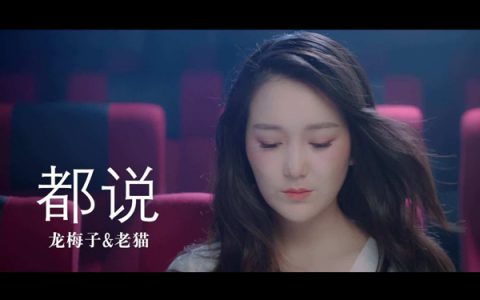 抖阴回家的路很长什么歌，都说歌曲介绍