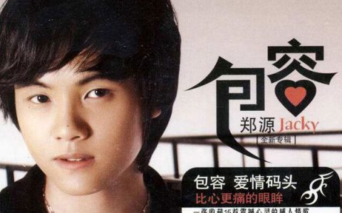 抖阴想你爱你留不住你是什么歌，包容歌曲介绍