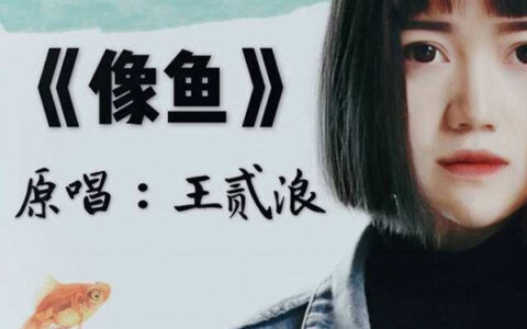 抖阴我要记住你的样子是什么歌，像鱼歌曲介绍