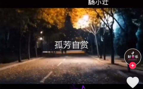 抖阴我承认我自卑我真的很怕黑是什么歌，孤芳自赏歌词介绍