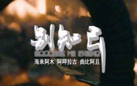 抖阴不知不觉天就亮起来是什么歌，别知己歌曲介绍