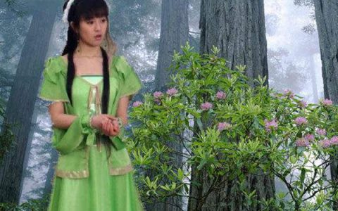 抖阴若不是你突然闯进我生活是什么歌，绿色歌曲介绍