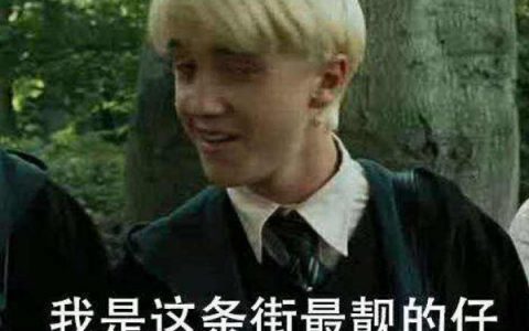 抖阴我就是这条街这条街最靓的仔是什么歌，这条街最靓的仔歌词介绍