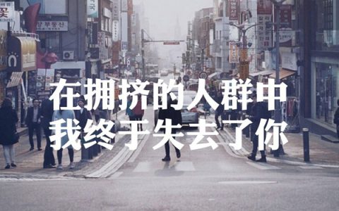 抖阴我终于失去了你在拥挤的人群中是什么歌，我终于失去了你歌曲介绍