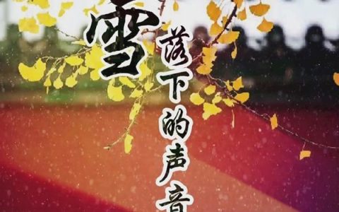 抖阴我慢慢的听雪落下的声音是什么歌，雪落下的声音歌曲介绍