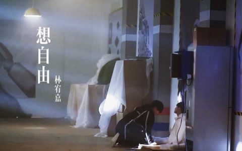 抖阴或许只有你懂得我是什么歌，想自由歌曲介绍