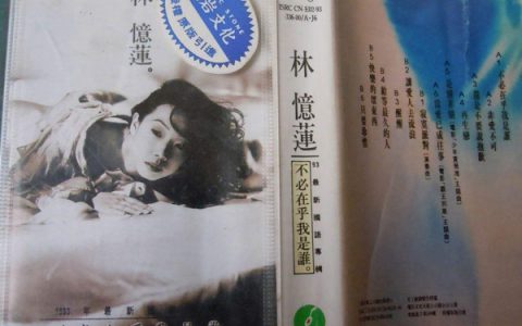 抖阴几次真的想让自己醉是什么歌，不必在乎我是谁歌词介绍