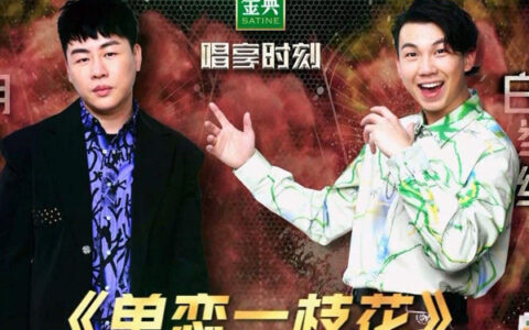 抖阴你应该大声说拜拜就算有眼泪流下来是什么歌，单恋一枝花歌曲介绍