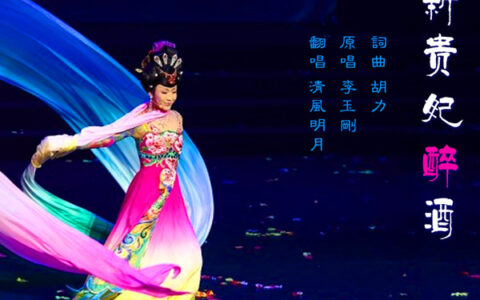 抖阴爱恨就在一瞬间是什么歌，新贵妃醉酒歌词介绍