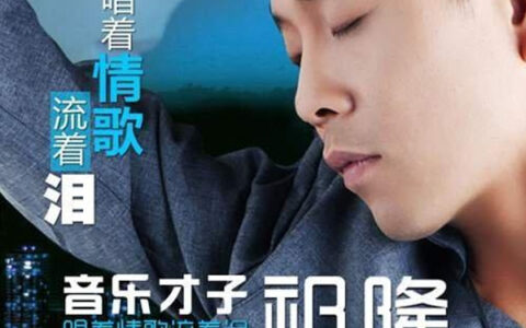 抖阴你说你爱我是什么歌，唱着情歌流着泪歌曲介绍