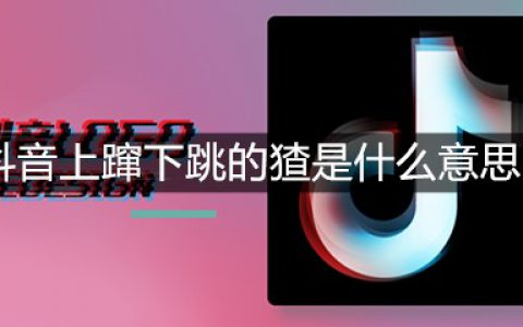 抖阴上蹿下跳的猹是什么意思