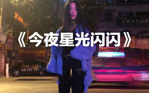 抖阴今夜星光闪闪我爱你的心满满是什么歌，今夜星光闪闪歌曲介绍
