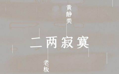 抖阴你在心酸之后夜夜长醉是什么歌，二两寂寞歌曲介绍