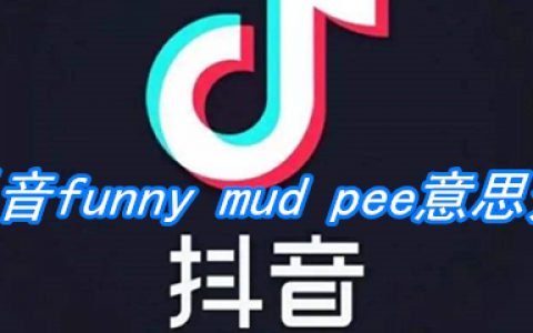 抖阴funny mud pee意思介绍
