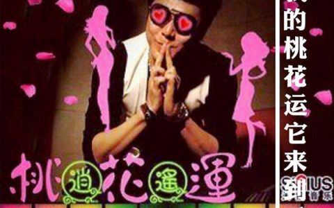 抖阴我一直在寻找爱情的目标是什么歌，桃花运歌曲介绍