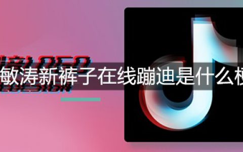刘敏涛新裤子在线蹦迪是什么梗