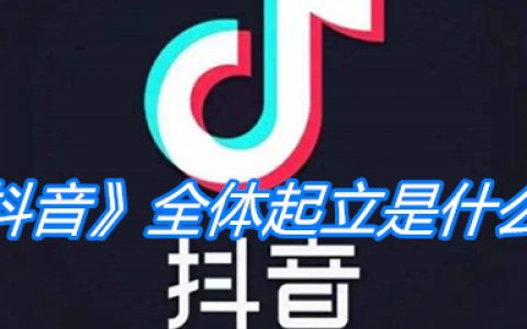 《抖阴》全体起立是什么梗