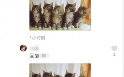 抖阴五个猫咪摇头蹦迪表情评论图文教程 5猫咪摇头蹦迪gif表情怎么发
