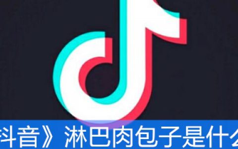 《抖阴》淋巴肉包子是什么梗