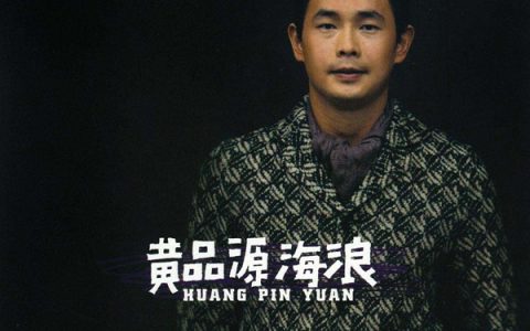 抖阴我听见海浪的声音站在城市的最中央是什么歌，海浪歌词介绍