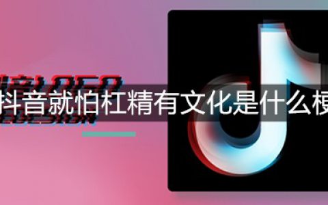 抖阴就怕杠精有文化是什么梗