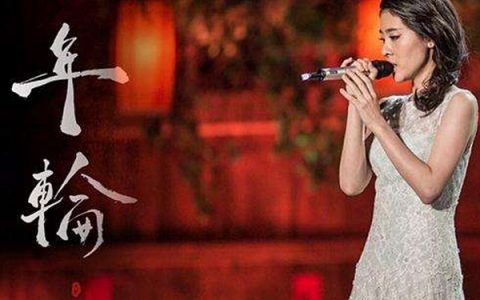 抖阴代替你陪着我的是年轮是什么歌，年轮歌曲介绍