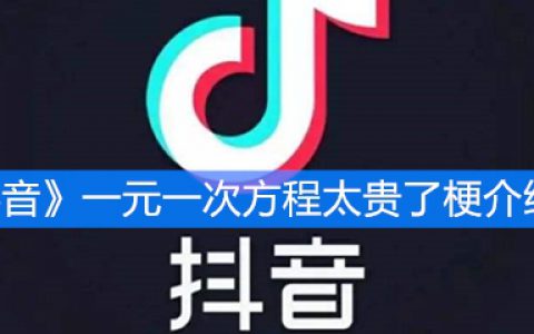 《抖阴》一元一次方程太贵了梗介绍