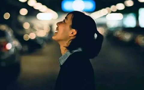 抖阴我不会再去爱上谁也不会再为谁流泪是什么歌，我不会再爱上谁歌曲介绍