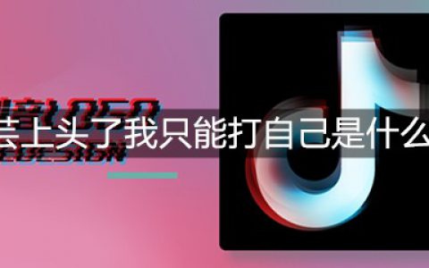 刘芸上头了我只能打自己是什么梗