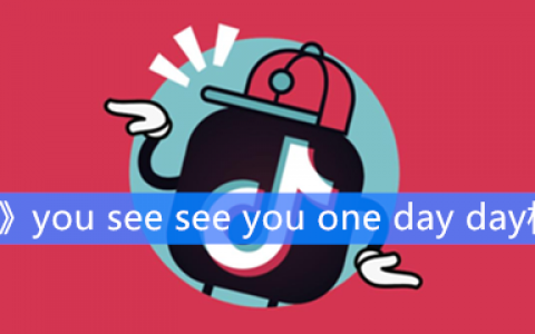 《抖阴》you see see you one day day梗介绍