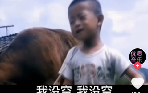 抖阴我没空我没空每天忙的头发蒙是什么歌，我没空搞笑版的歌词