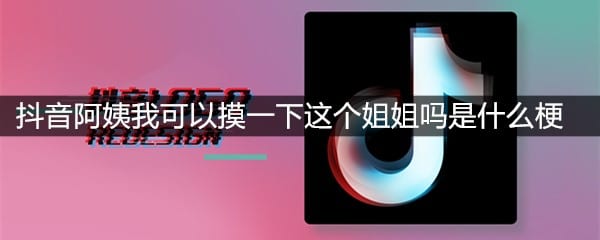 抖阴阿姨我可以摸一下这个姐姐吗是什么梗