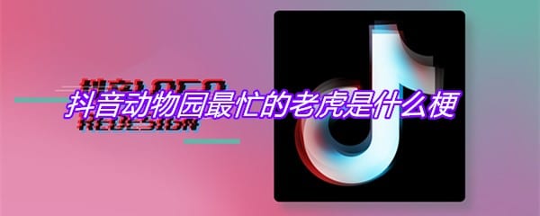 抖阴动物园最忙的老虎是什么梗