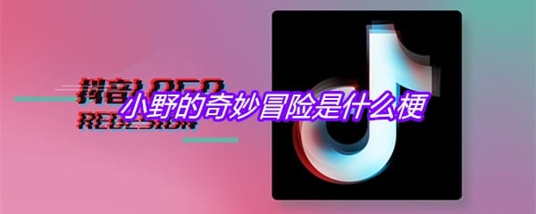 小野的奇妙冒险是什么梗