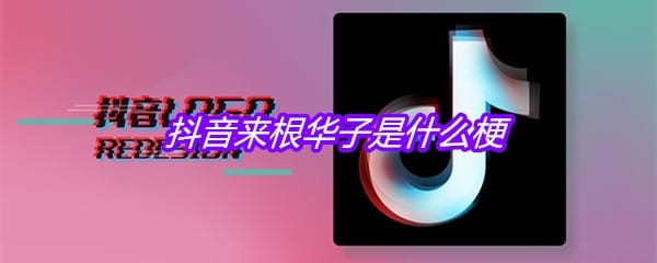 抖阴来根华子是什么梗