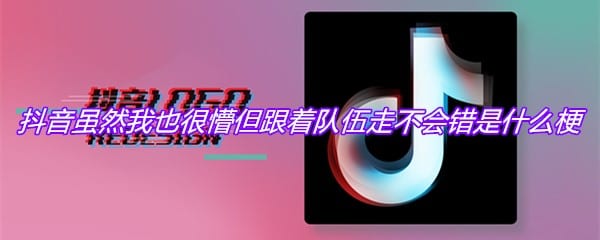 抖阴虽然我也很懵但跟着队伍走不会错是什么梗