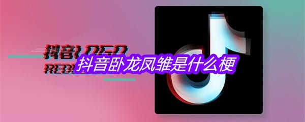 抖阴卧龙凤雏是什么梗
