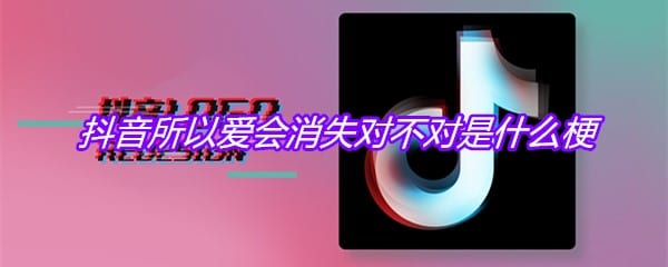 抖阴所以爱会消失对不对是什么梗