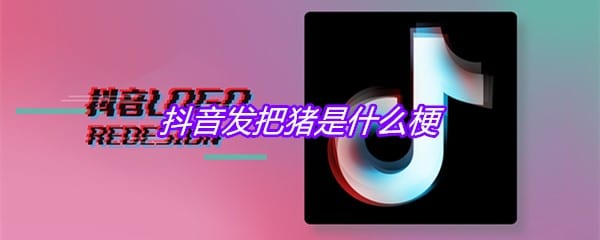 抖阴发把猪是什么梗