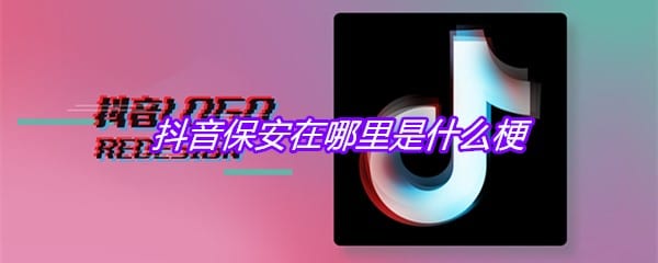 抖阴保安在哪里是什么梗